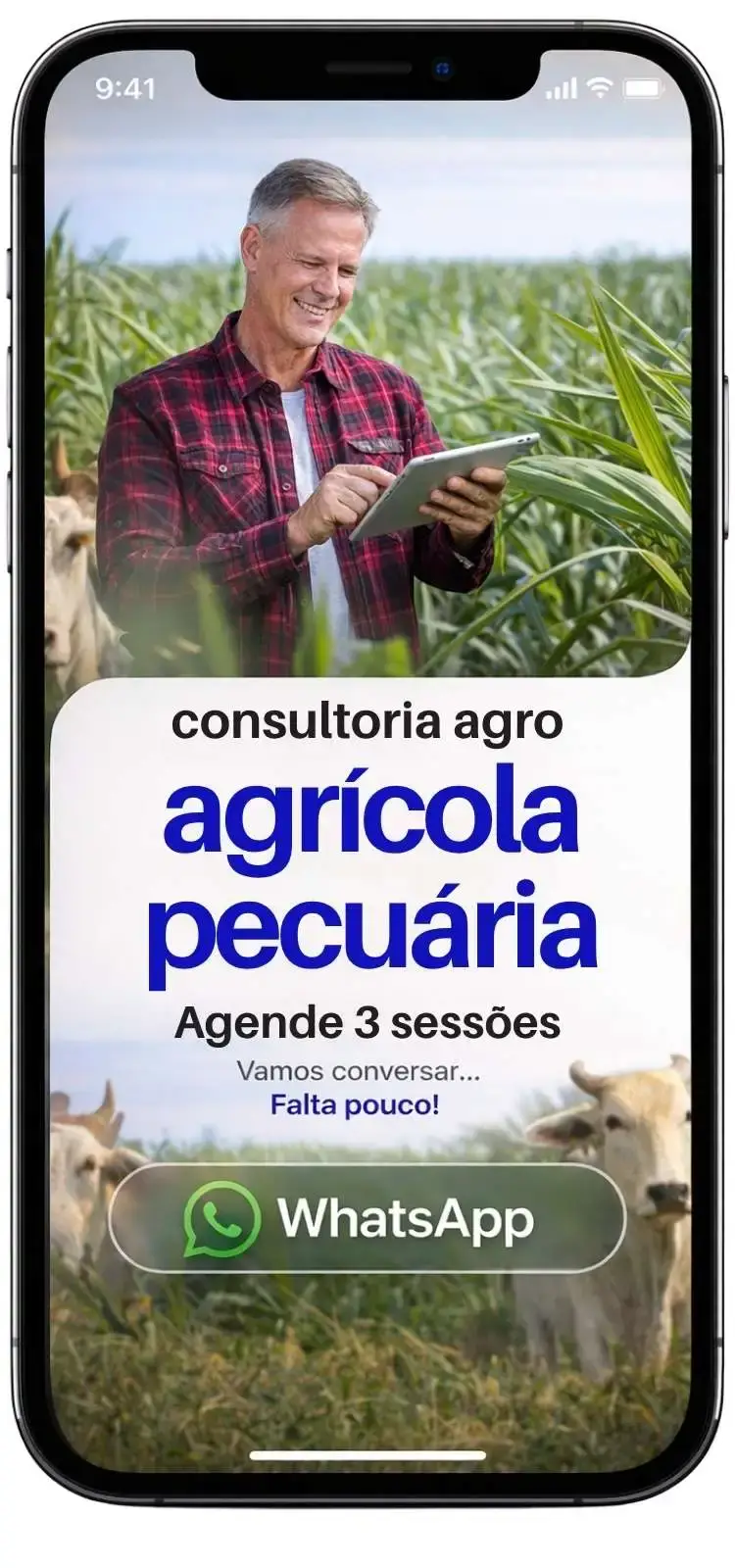 Exemplo de página de bio